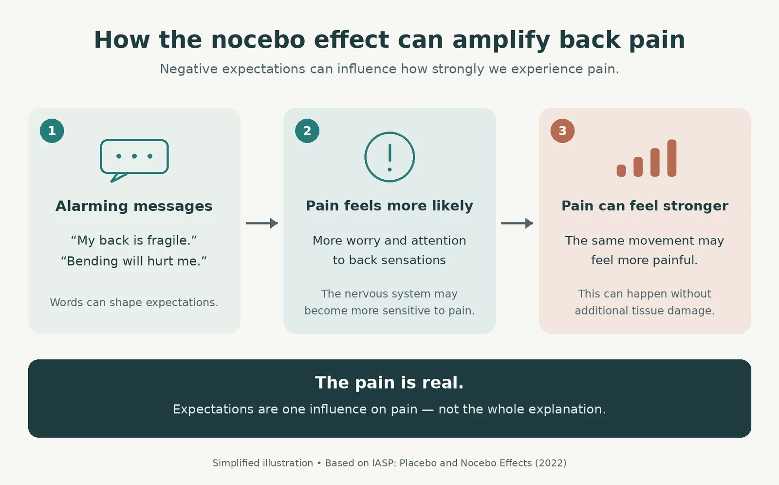 Diagram showing how alarming messages about back health may increase worry and negative expectations, heighten nervous system sensitivity, and amplify real back pain without additional tissue damage.