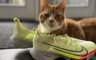 Pick the right running shoe